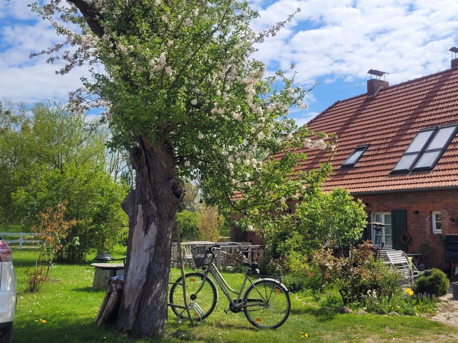 Seminar Und Landhaus Schoenbeck Schonbeck  Exteriör bild